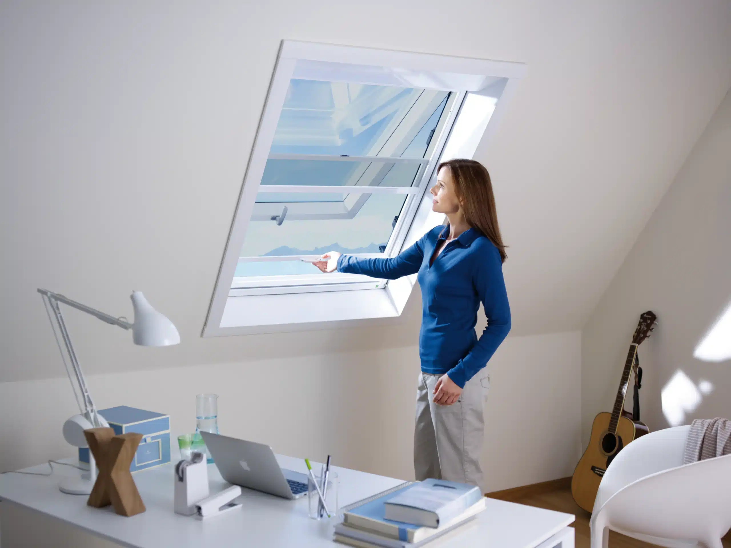 fenetre velux avec moustiquaire